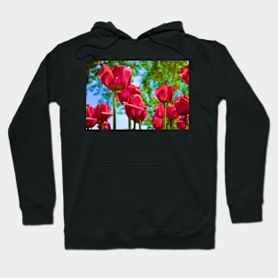 Red Tulips Hoodie